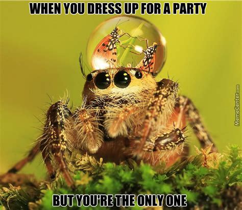 awkward spider by rich231 meme center