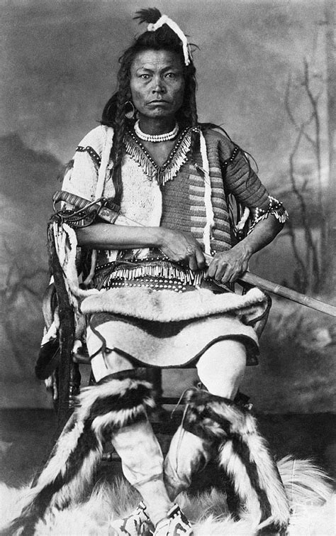 Vintage Portraits Of The First Nations People By Alex Ross 1880s