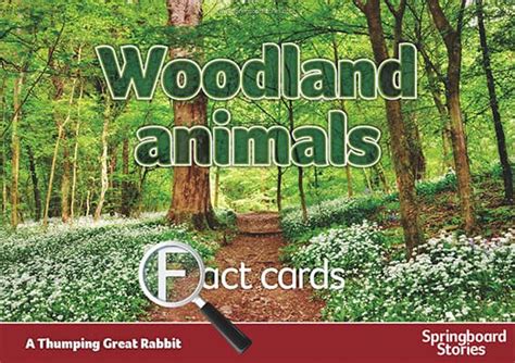 springboard stories woodland fact cards