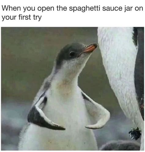 penguin memes memedroid