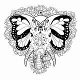 Elephant Coloring Pages Adults Butterfly Tattoo Tribal Ears Elephants Adult Printable Floral Tattoos Drawing Google Splendid Background Sheets Drawings Search sketch template