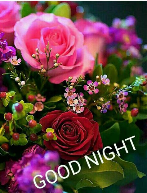 Pin By Aegan Marimuthu On Good Night Good Night Flowers Good Night