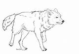 Wolf Drawing Lineart Walking Drawings Elle Mara Deviantart Choose Board Walk sketch template