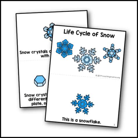 life cycle snow booklet printables club