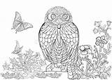 Owl Kleuren Inchiostro Boek Modello Adulta Disegnato Coloritura Getrokken Volwassen Inktpatroon Zeer Interessant sketch template