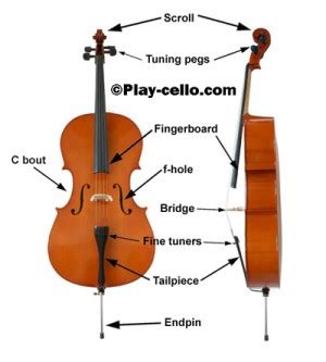 pats   cello