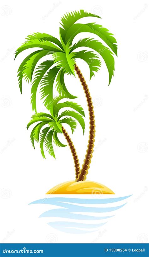 tropische palme auf insel stockbilder bild