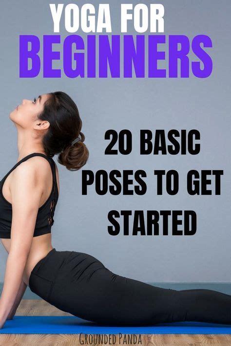 basic yoga  beginners images   yoga  beginners