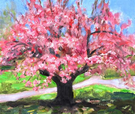 Cherry Blossom Tree In Central Park Painting By Robert Holden Fine