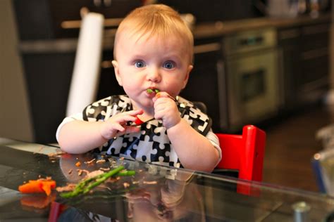 baby weaning  dads   foods  schedule daddilife