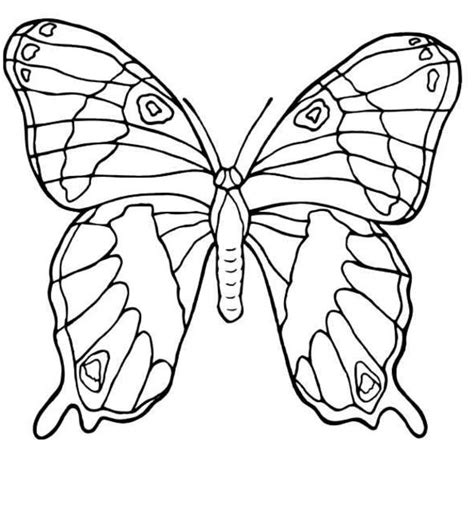 coloring  blog archive butterfly coloring pages