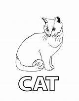 Coloring Pages Cat Printable Kids Color Worksheet Spell Print Adults Detailed Cats Sheets Sheet Animal Adult Animals Bestcoloringpagesforkids Cute Preschoolers sketch template