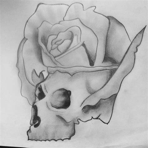 Rose Flower Skull Head Tattoo Design Pencil