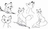 Hound Vixey Foxes sketch template
