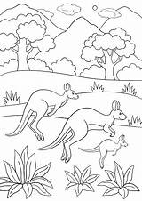 Kangaroo Family Pages Coloring Runs Illustration Now Stock Vector Vectors sketch template