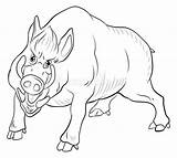Pig Boar Doodle sketch template