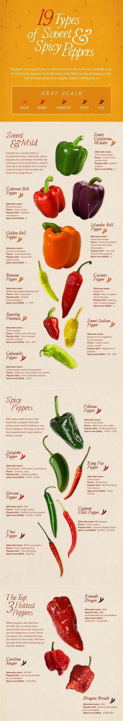 Did You Know There S 19 Types Of Peppers