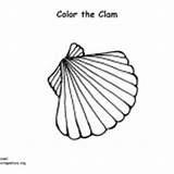 Clam Creatures Ocean Coloring Category sketch template