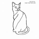 Egyptian Cat Mau Drawing Coloring Color Pages Drawings Getdrawings Getcolorings Line Own sketch template