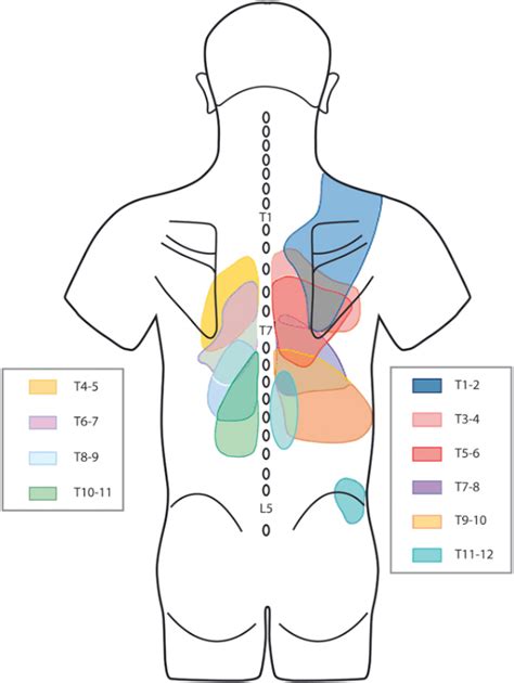lumbar facet joint pain referral patterns