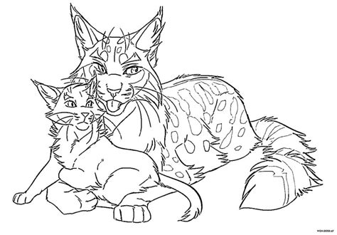 warrior cats brightheart pages coloring pages
