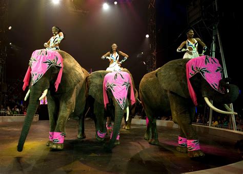 circus sues nyc  performance permits