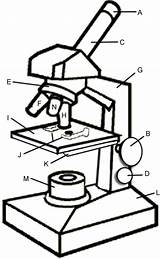 Microscope Parts Diagram Coloring Clip Clipart sketch template