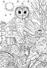 Owl Barn Colouring Coloring Pages Printable Detailed Animal Kids Adults Adult Print Sheets Choose Board Christmas Books sketch template