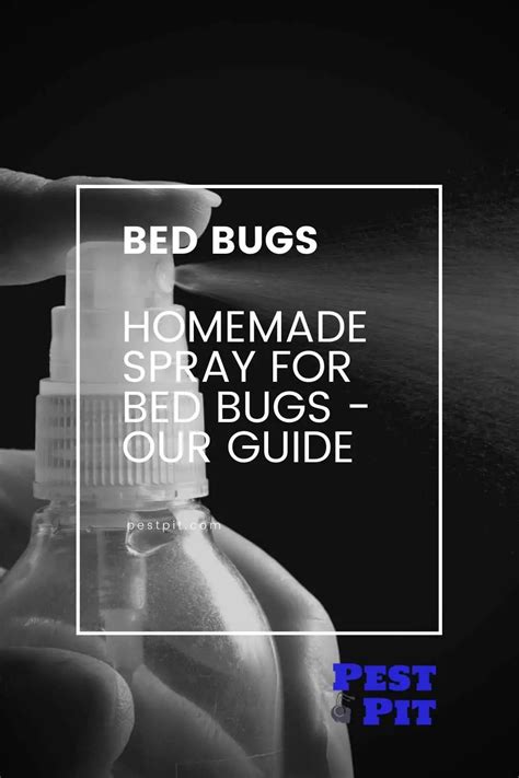 Homemade Spray For Bed Bugs Our Guide Pest Pit