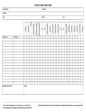 chart audit form fill  sign printable template