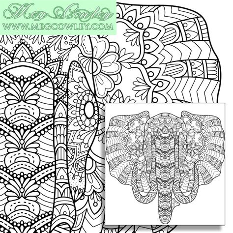 exotic animal colouring book page elephant  megcowleyart