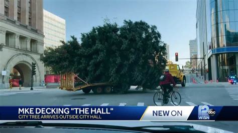 milwaukee christmas tree cut    city hall