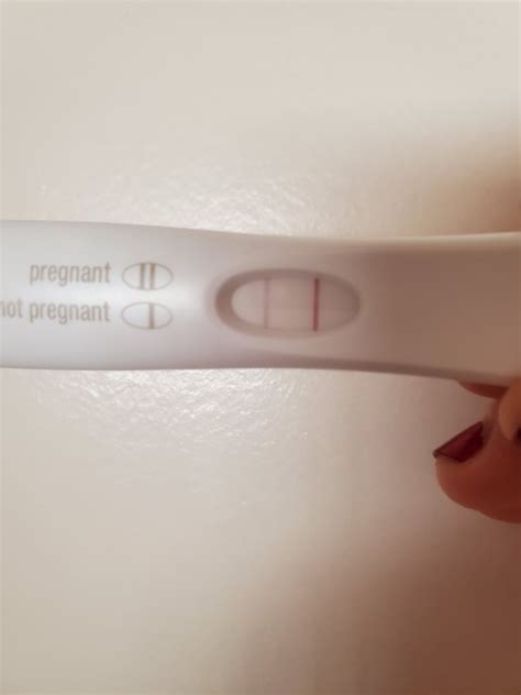 omg bfp 😭took the cheap pregnancy test last night and it was so