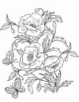 Coloring Poppies Pages Blossom Printable Para Flores Drawing Colorear Amapolas Dibujo Flowers Dibujos Gratis Imprimir Pintar sketch template