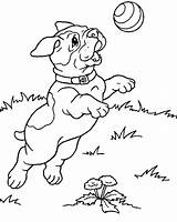 Coloring Puppy Pages Kids Jumping sketch template