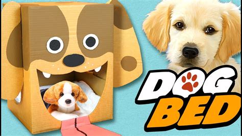 build  dog house   cardboard background top