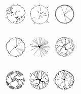 Tree Symbols Plan Architecture Drawing Landscape Symbol Trees Drawings Graphics Sketch Architectural Plans Site Google Drawn Photoshop Plan2 Getdrawings Wordpress sketch template