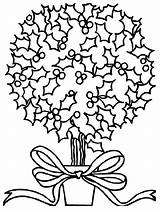 Crayola Noel Colorat Arbusto Desene Mistletoe Craciun Arbres Planse Decorado Natalizio Alberi Floare Bosco Coloriages Noël Natalizi Colorier sketch template
