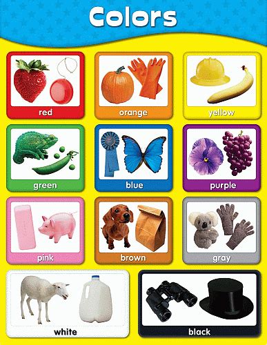 early learning charts  posters  basic skills mastery   classroom