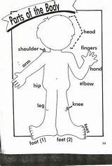Body Parts Preschool Head Activities Shoulders Coloring Toes Pages English Knees Puzzle Kids Kindergarten Worksheet Jigsaw Worksheets Solve Primary School sketch template
