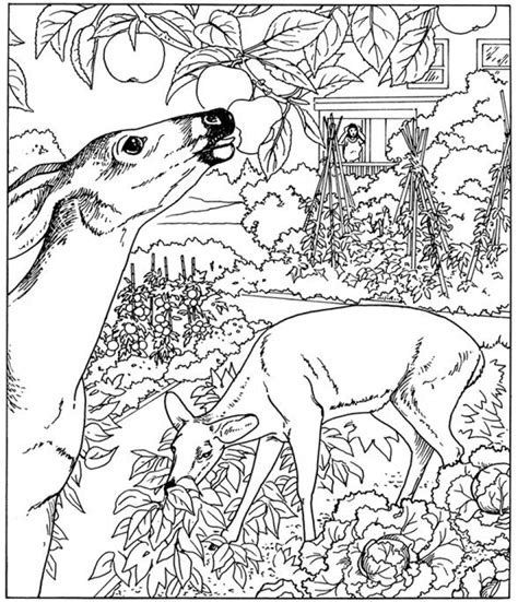 nature coloring pages  toddlers dlx