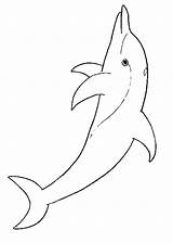 Ausmalbilder Delfin Coloriage Delphin Delfini Dauphins Malvorlage Dauphin Colorat Delfines Delfiny Fisa Delfino Kolorowanki Disegno Pintinhas Amarelas Ausmalbild Planse Imagini sketch template