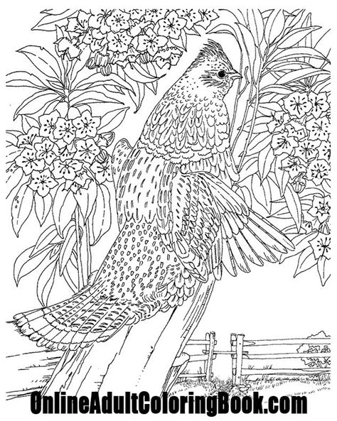 coloring book page vist    adult coloring book