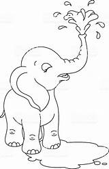 Coloring Elephant Baby Pages Istockphoto sketch template