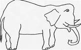 Coloring Elmer Elephant Jersey Football Popular Coloringhome sketch template