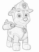 Patrol Paw Coloring Pages Filminspector Downloadable Stage Shows Events Which Also Live Has sketch template