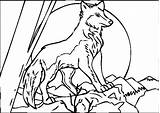 Wolf Coloring Pages Howling Wolves Moon Baby Print Grey Printable Color Link Theme Cute Getcolorings Minecraft Getdrawings Colorings Book sketch template