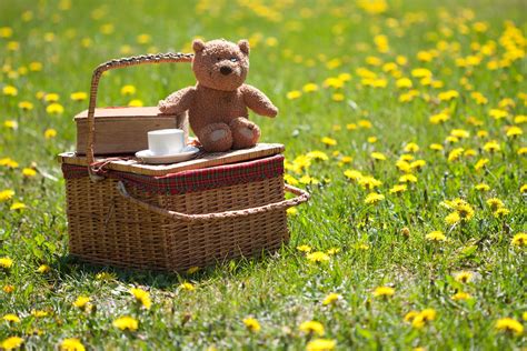 Teddy Bear Picnic Hendricks County Parks And Recreation