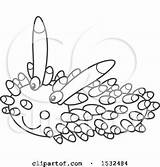 Nudibranch Slug Coloring sketch template