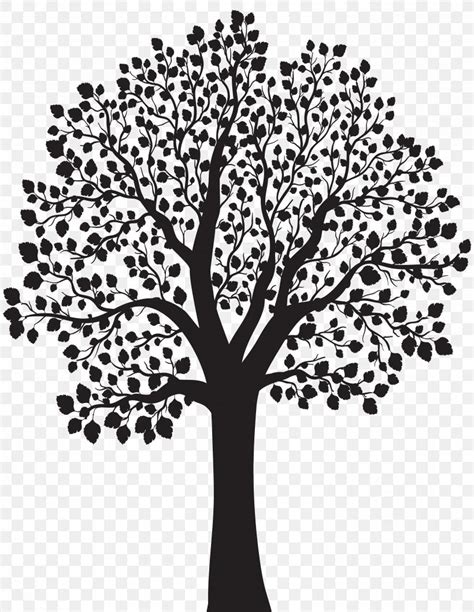 tree silhouette illustration png xpx tree art black  white branch flora